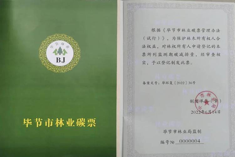 标题：广西发行和交易首批林业碳票