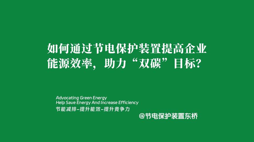 标题：能源领域如何实现“双碳”目标？专家企业家提出这些建议